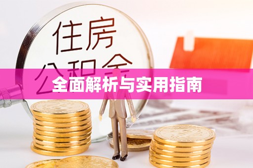 乐陵全面解析与实用指南