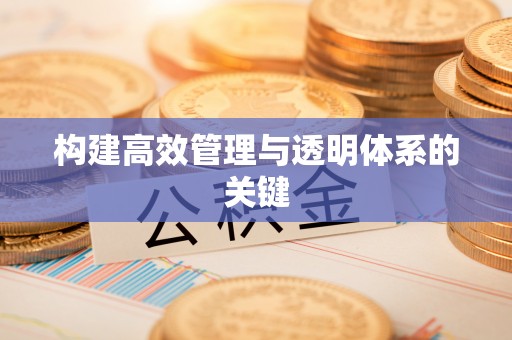 乐陵构建高效管理与透明体系的关键