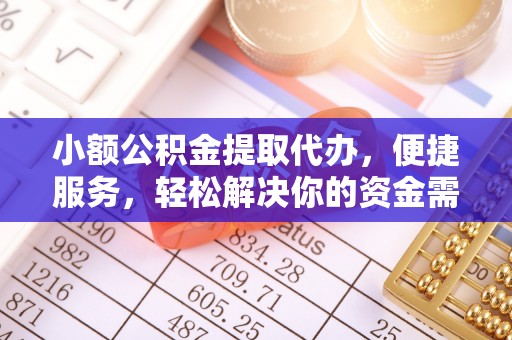 乐陵小额公积金提取代办，便捷服务，轻松解决你的资金需求