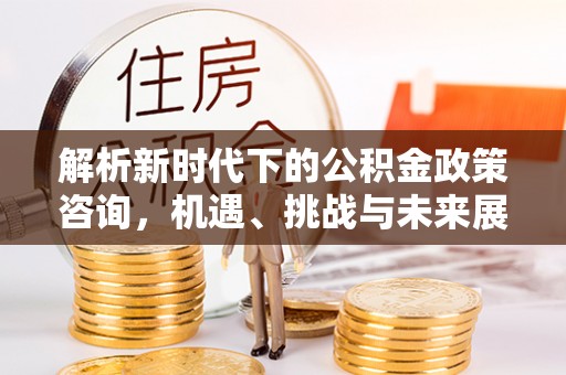 乐陵解析新时代下的公积金政策咨询，机遇、挑战与未来展望