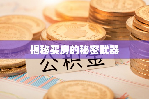 乐陵揭秘买房的秘密武器