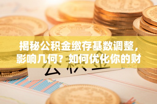 乐陵揭秘公积金缴存基数调整，影响几何？如何优化你的财务规划？