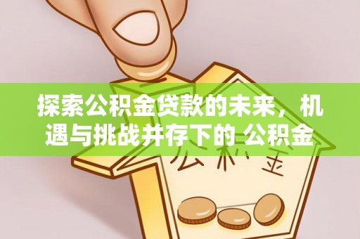 乐陵探索公积金贷款的未来，机遇与挑战并存下的 公积金贷款风险防控