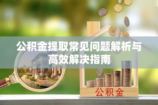 乐陵公积金提取常见问题解析与高效解决指南