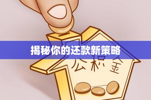 乐陵揭秘你的还款新策略