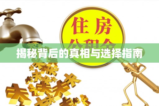 乐陵揭秘背后的真相与选择指南