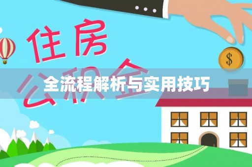 乐陵全流程解析与实用技巧