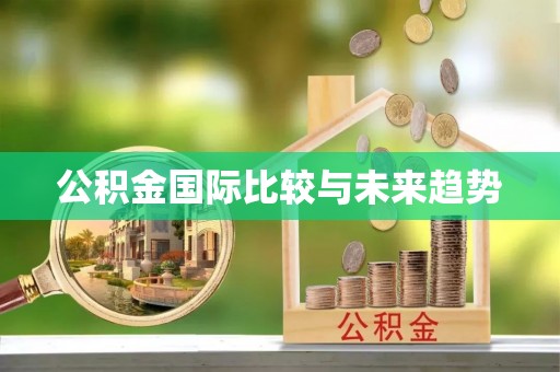 乐陵公积金国际比较与未来趋势