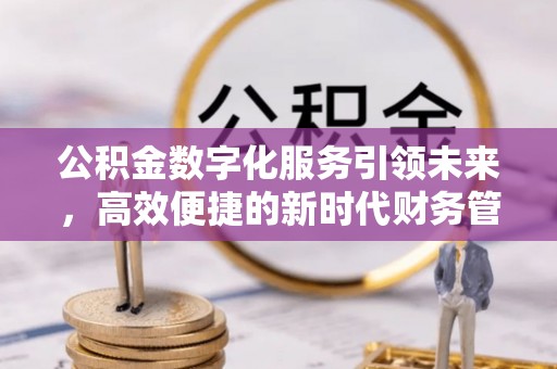 乐陵公积金数字化服务引领未来，高效便捷的新时代财务管理