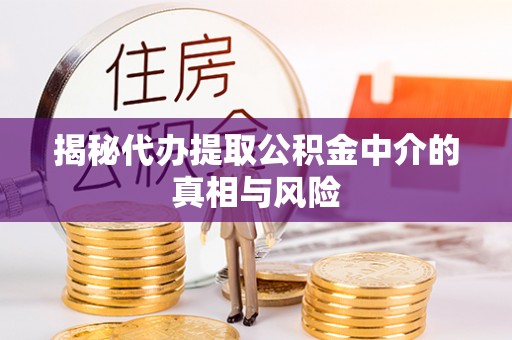 乐陵揭秘代办提取公积金中介的真相与风险