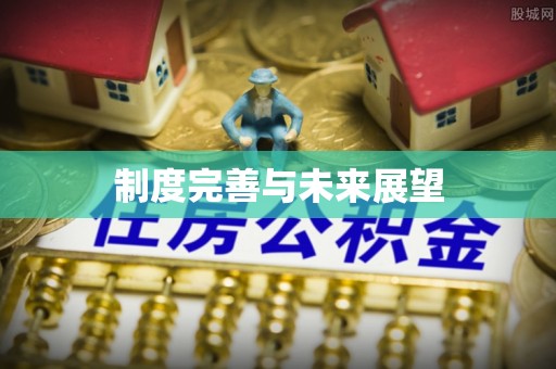 乐陵制度完善与未来展望