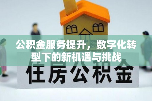 乐陵公积金服务提升，数字化转型下的新机遇与挑战