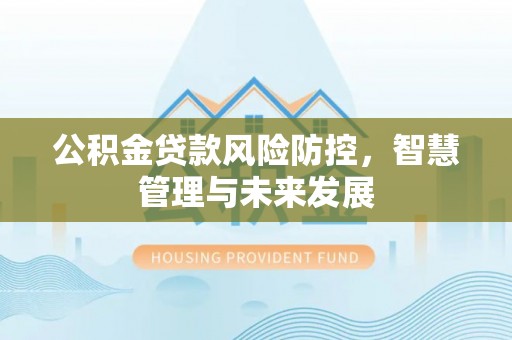 乐陵公积金贷款风险防控，智慧管理与未来发展