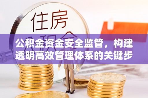 乐陵公积金资金安全监管，构建透明高效管理体系的关键步骤