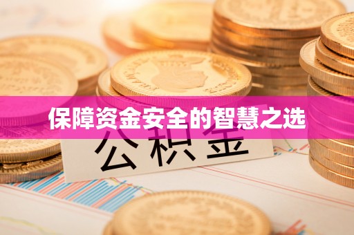 乐陵保障资金安全的智慧之选