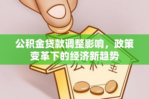 乐陵公积金贷款调整影响，政策变革下的经济新趋势