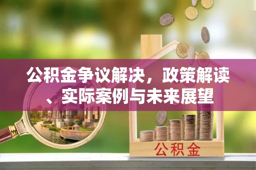 乐陵公积金争议解决，政策解读、实际案例与未来展望