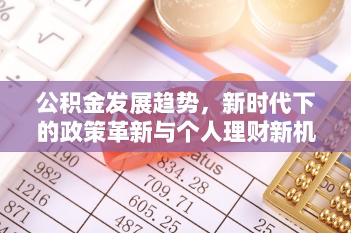 乐陵公积金发展趋势，新时代下的政策革新与个人理财新机遇