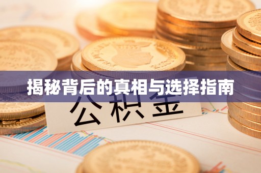 乐陵揭秘背后的真相与选择指南