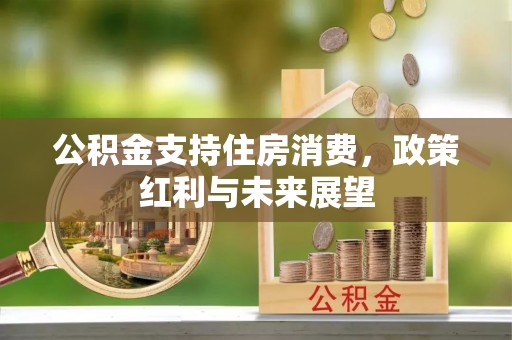 乐陵公积金支持住房消费，政策红利与未来展望