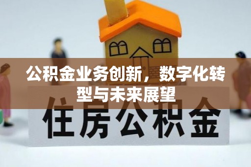 乐陵公积金业务创新，数字化转型与未来展望