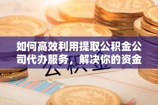 乐陵如何高效利用提取公积金公司代办服务，解决你的资金难题