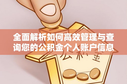 乐陵全面解析如何高效管理与查询您的公积金个人账户信息