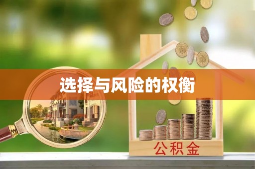 乐陵选择与风险的权衡