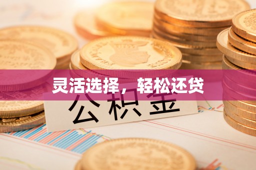 乐陵灵活选择，轻松还贷