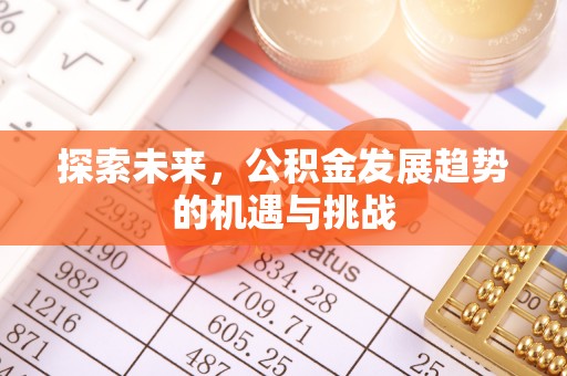 乐陵探索未来，公积金发展趋势的机遇与挑战