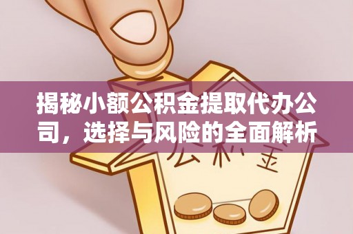 乐陵揭秘小额公积金提取代办公司，选择与风险的全面解析