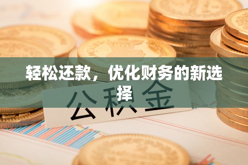 乐陵轻松还款，优化财务的新选择