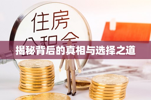 乐陵揭秘背后的真相与选择之道