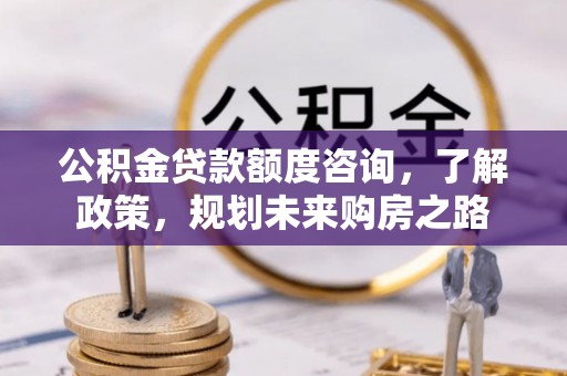 乐陵公积金贷款额度咨询，了解政策，规划未来购房之路