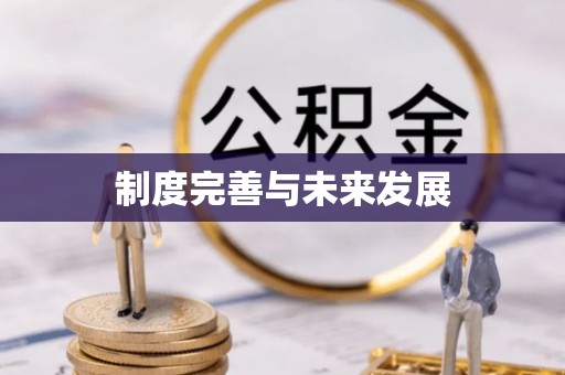 乐陵制度完善与未来发展
