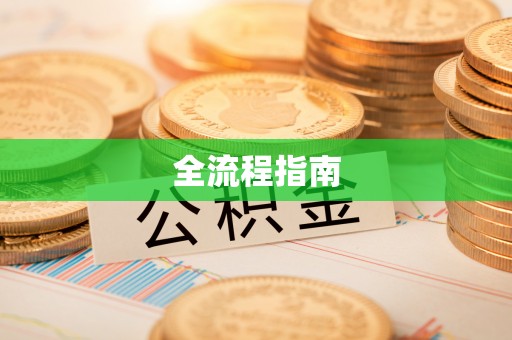 乐陵全流程指南