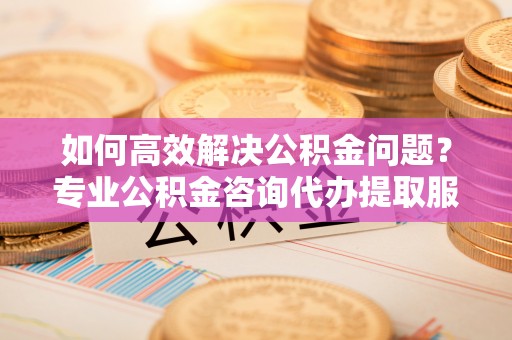 乐陵如何高效解决公积金问题？专业公积金咨询代办提取服务来帮你