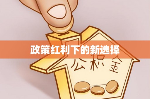 乐陵政策红利下的新选择