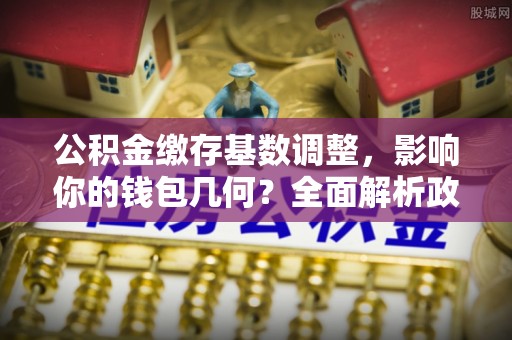 乐陵公积金缴存基数调整，影响你的钱包几何？全面解析政策与实际收益