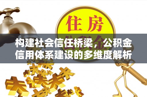 乐陵构建社会信任桥梁，公积金信用体系建设的多维度解析