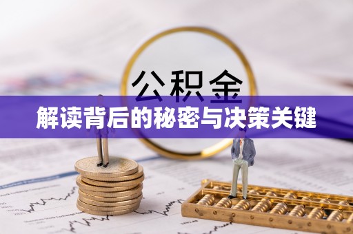 乐陵解读背后的秘密与决策关键