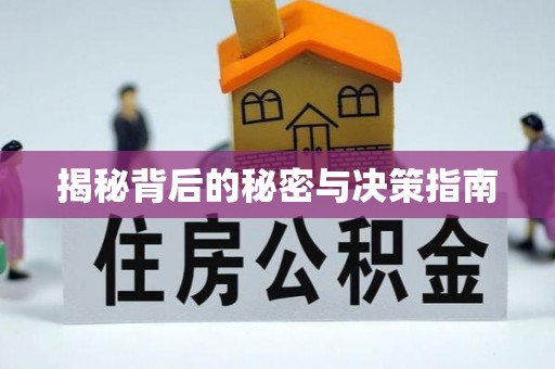 乐陵揭秘背后的秘密与决策指南
