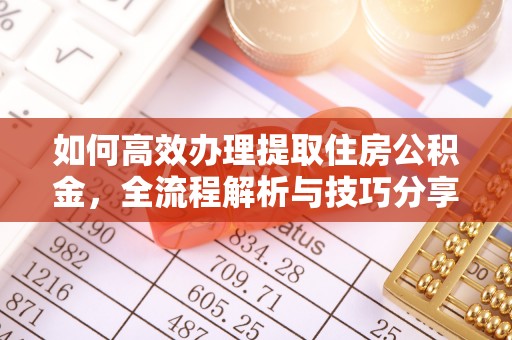 乐陵如何高效办理提取住房公积金，全流程解析与技巧分享