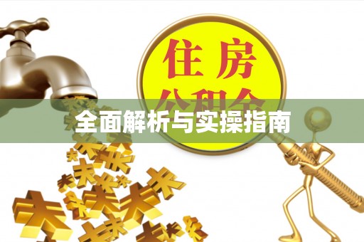 乐陵全面解析与实操指南