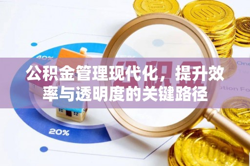 乐陵公积金管理现代化，提升效率与透明度的关键路径