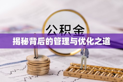 乐陵揭秘背后的管理与优化之道