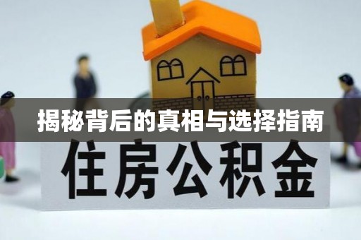 乐陵揭秘背后的真相与选择指南