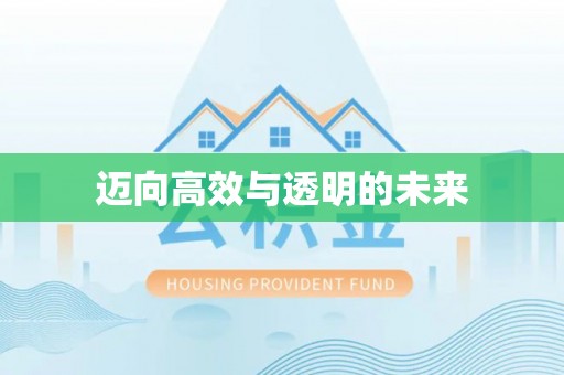 乐陵迈向高效与透明的未来