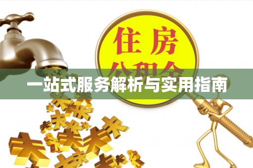 乐陵一站式服务解析与实用指南