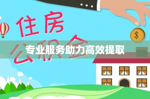 乐陵专业服务助力高效提取